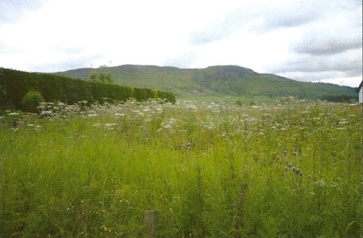 Wester Balgedie cottage building plot for sale